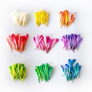 Bundle for the best deals